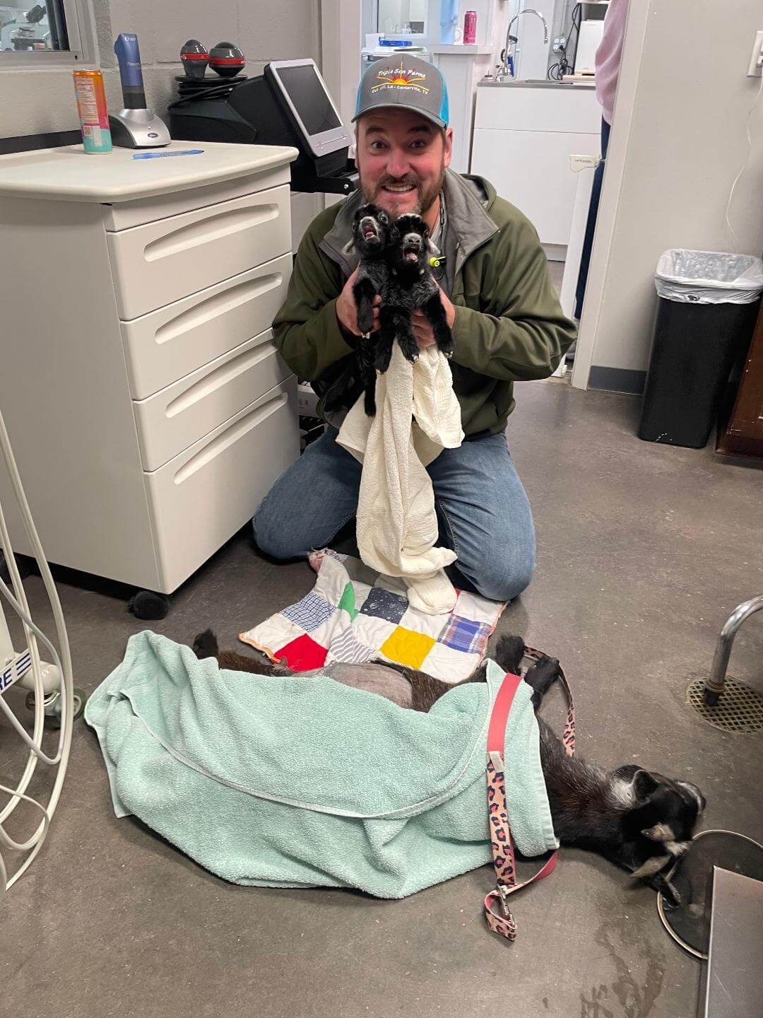 Whittington Veterinary Clinic Dr Paul with 2 baby goats after c section 
