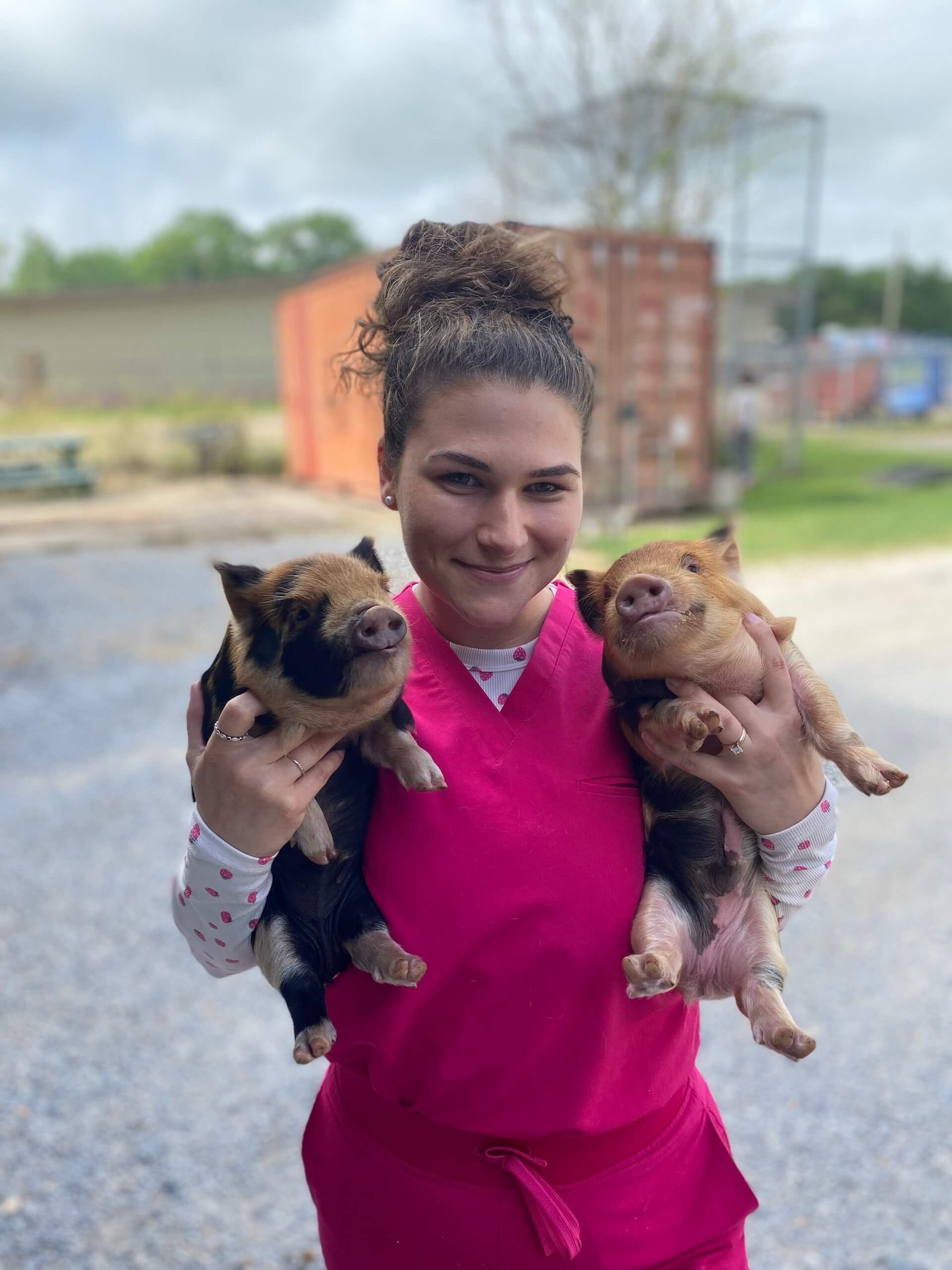 Andrea and Piglets