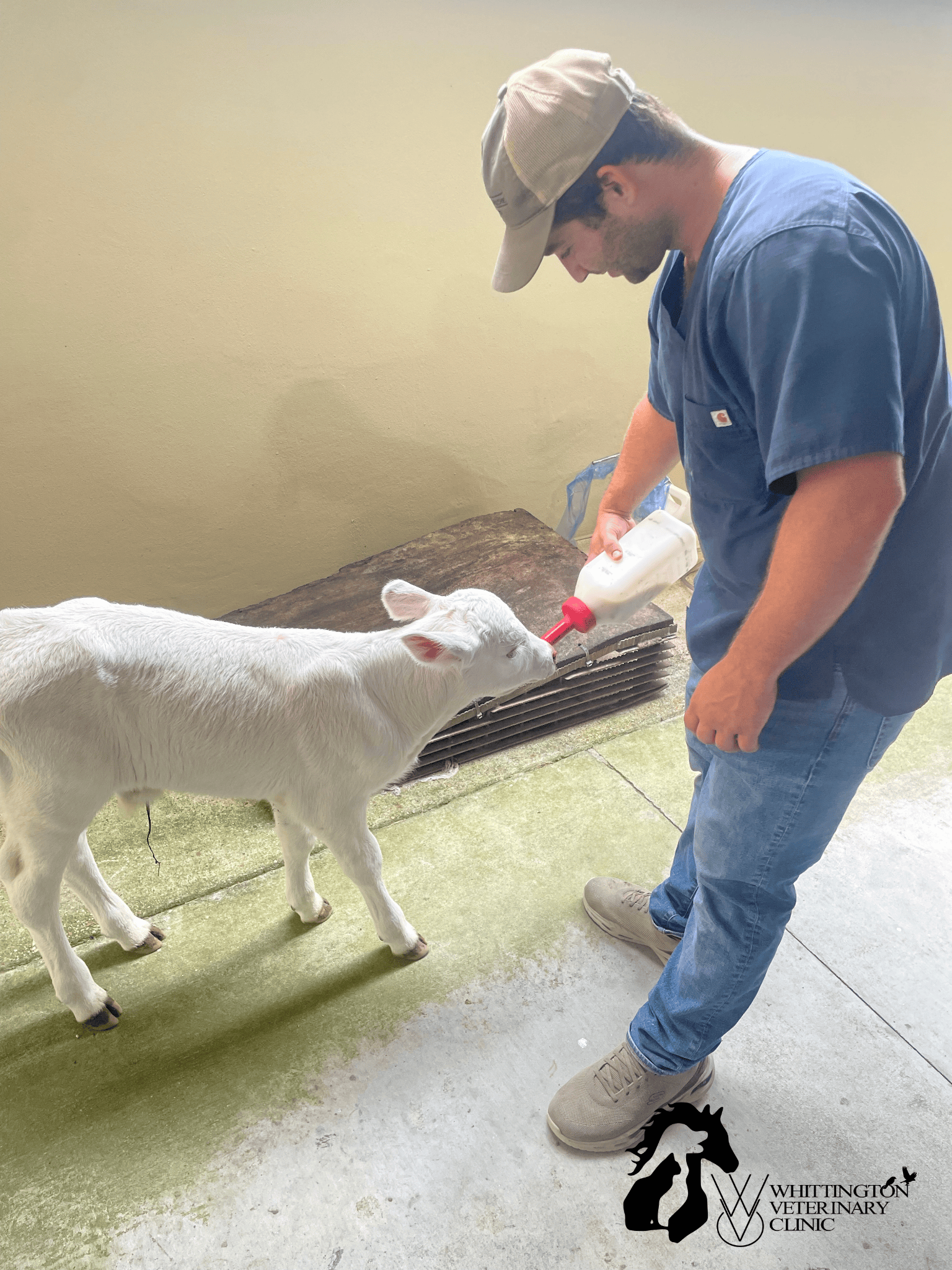 White Calf w/ Brennan