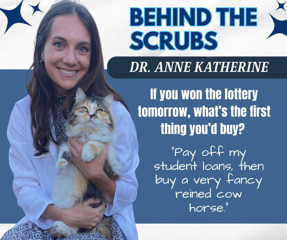 Dr. Anne Katherine 3