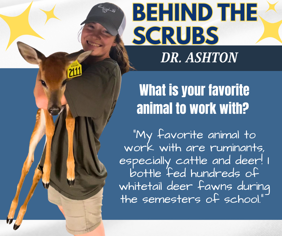 Behind the Scrubs Dr. Ashton 