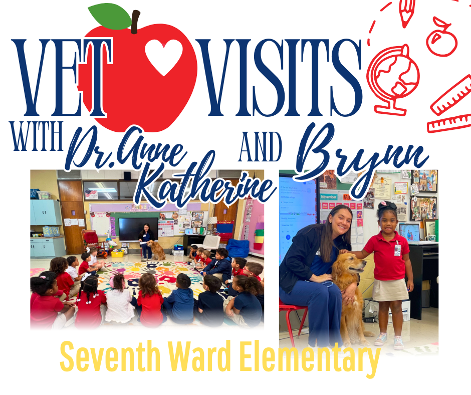 Vet Visit with Dr. Anne Katherine 