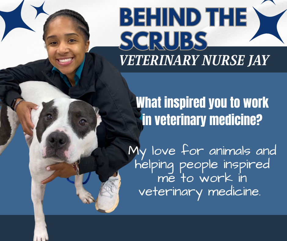 Behind The Scrubs Jay