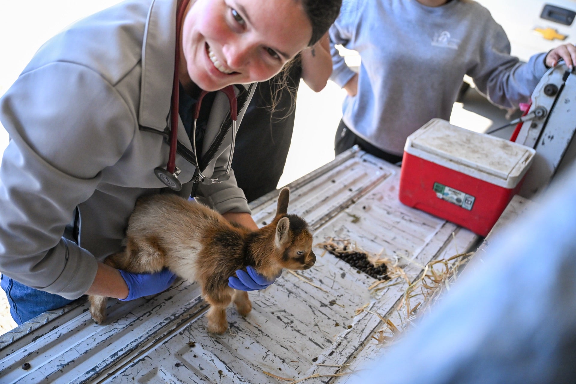Dr. Ashtona and Goats