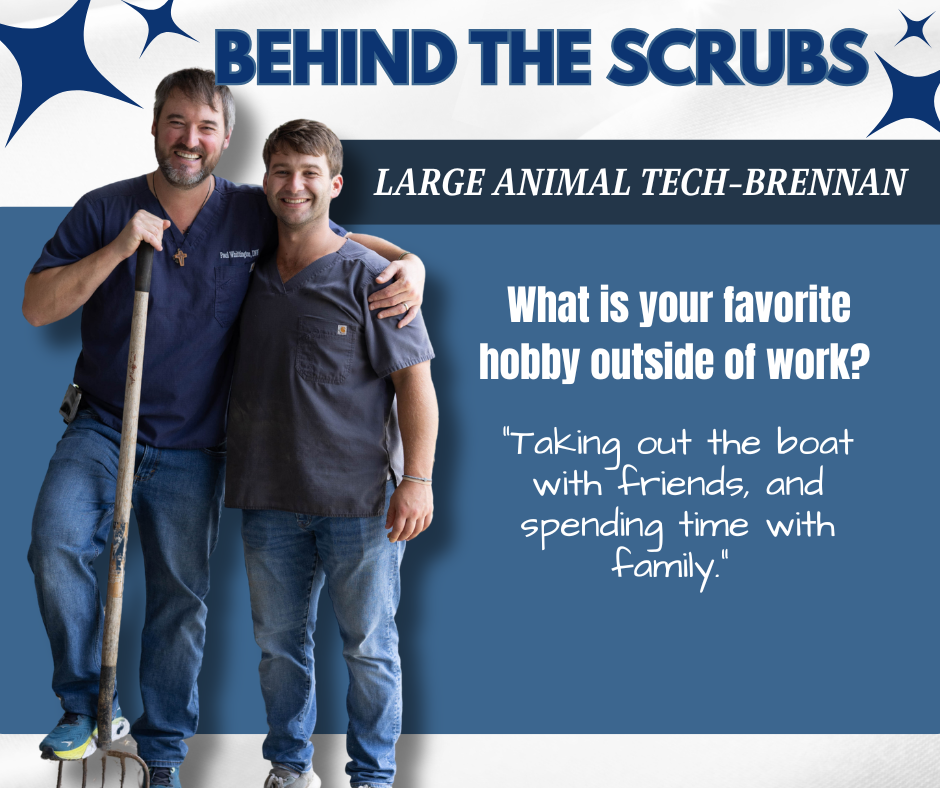 Behind The Scrubs Brennan