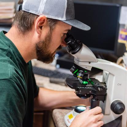 in house diagnostics