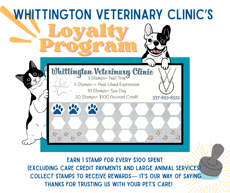 loyalty program 