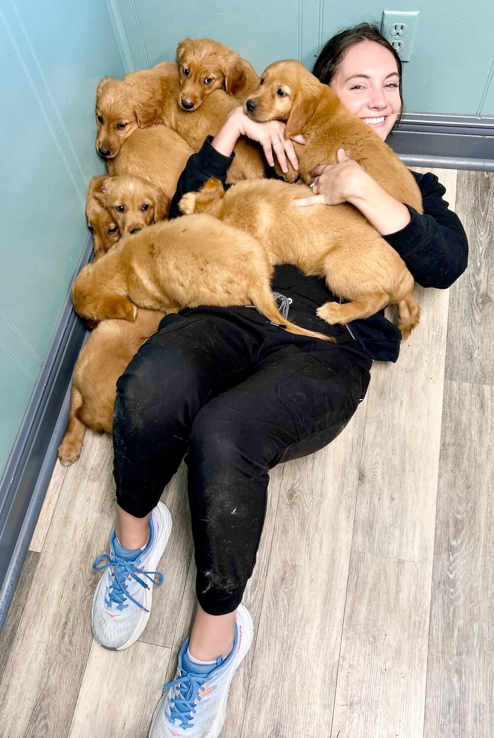 puppies