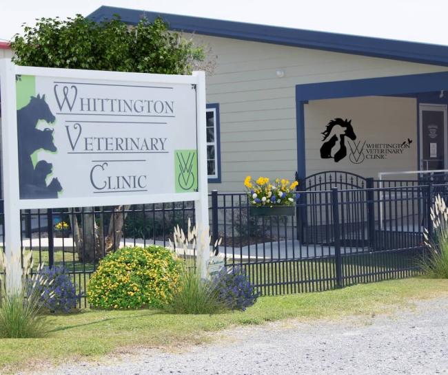 Whittington animal hospital in Abbeville LA